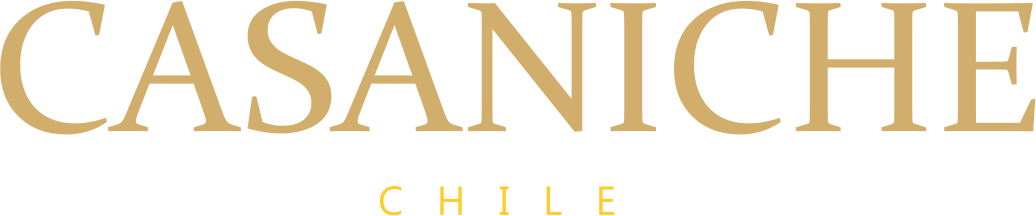 Logo de Maximiliano Cifuentes