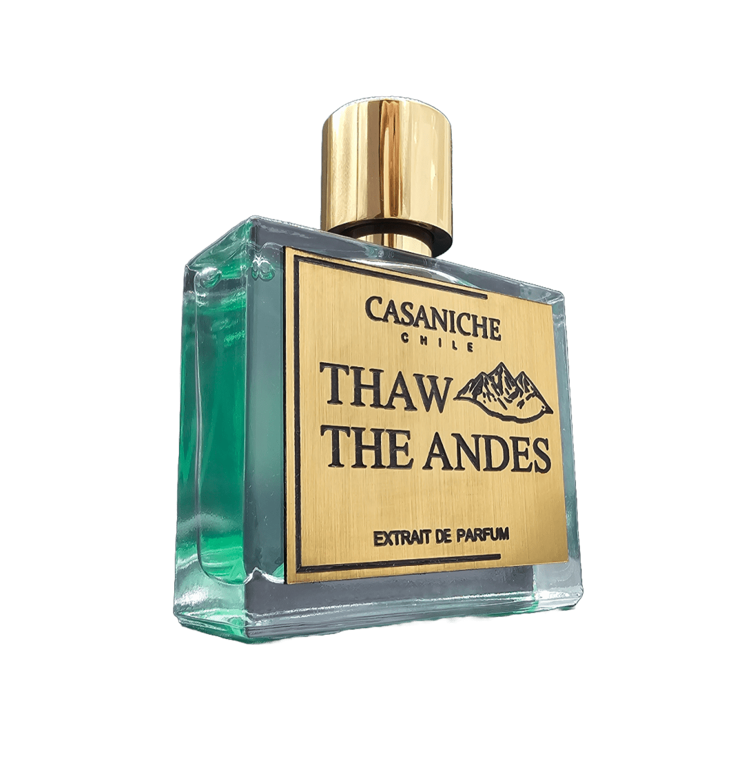 Foto de Thaw The Andes